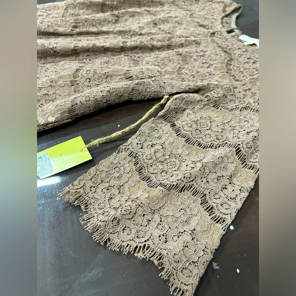 Paper + Tee NWT Neutral Sheer Lace/Eyelet Blouse - Picture 3 of 8